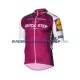 2017 Quick-Step Floors Set(Radtrikot und Trägerhose) Herren N003