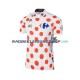 2017 Tour De France Rennradtrikot Kurzarm Herren N003