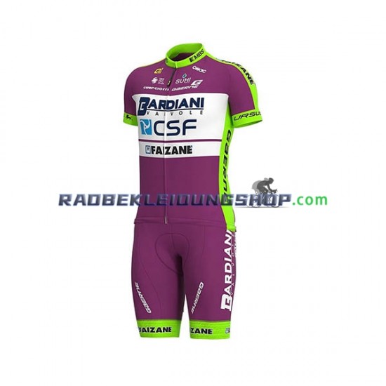 2020 Bardiani–CSF Set(Radtrikot und Trägerhose) Herren N001