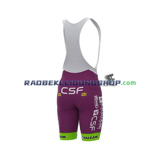 2020 Bardiani–CSF Set(Radtrikot und Trägerhose) Herren N001