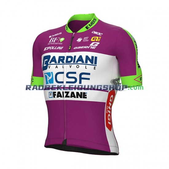 2022 Bardiani-CSF Rennradtrikot Kurzarm Herren N001